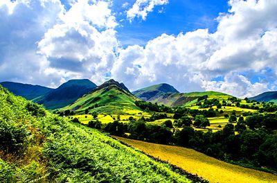 Landscape, England Download Jigsaw Puzzle