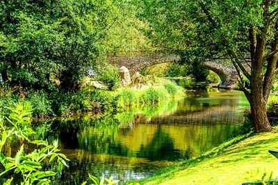 River Download Jigsaw Puzzle