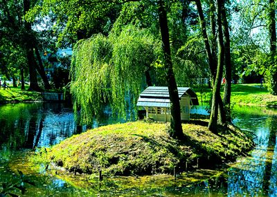 Park, Poland Download Jigsaw Puzzle