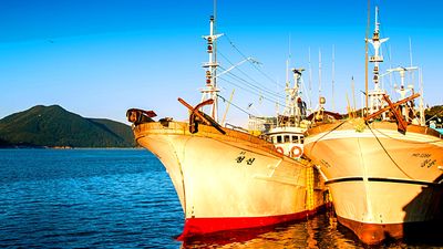 Boats, Nepal Download Jigsaw Puzzle