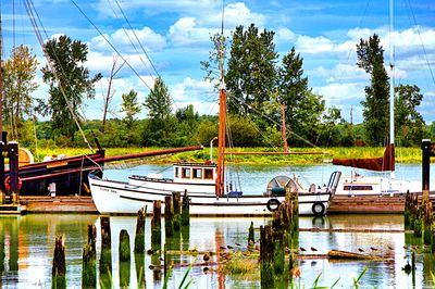 Boat, Canada Download Jigsaw Puzzle