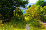 Country Path Download Jigsaw Puzzle