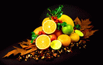 Fruit Download Jigsaw Puzzle