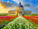 Flowers Download Jigsaw Puzzle