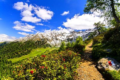 Mountain Path Download Jigsaw Puzzle