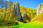 Mountain Pass Download Jigsaw Puzzle