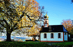 Park Tree Download Jigsaw Puzzle