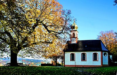 Park Tree Download Jigsaw Puzzle