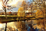 Riverbank Download Jigsaw Puzzle