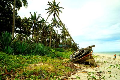 Boat Download Jigsaw Puzzle