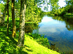 River Bank Download Jigsaw Puzzle