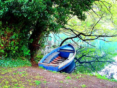 Rowboat Download Jigsaw Puzzle