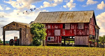 Barn, US Download Jigsaw Puzzle