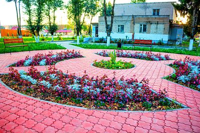 Flowers Download Jigsaw Puzzle