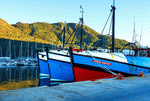 Boats Download Jigsaw Puzzle