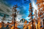 Mountain Trees Download Jigsaw Puzzle