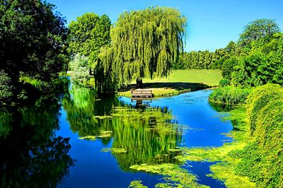 Park Lake Download Jigsaw Puzzle