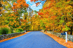 Autumn Road Download Jigsaw Puzzle