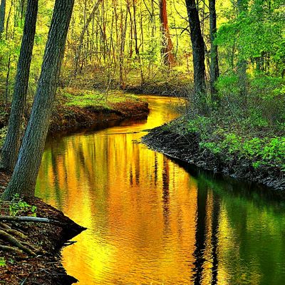 Stream Download Jigsaw Puzzle