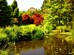 Park Pond Download Jigsaw Puzzle