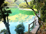 Lakeside Download Jigsaw Puzzle