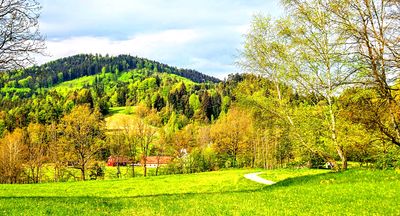 Green Valley Download Jigsaw Puzzle