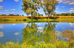 Trees Download Jigsaw Puzzle