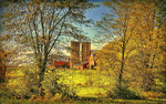 Farm Download Jigsaw Puzzle