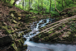 Mountain Stream Download Jigsaw Puzzle