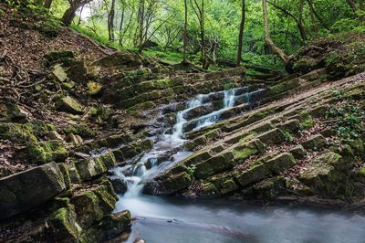 Mountain Stream Download Jigsaw Puzzle