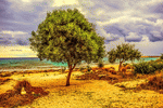 Tree Download Jigsaw Puzzle