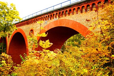 Bridge Download Jigsaw Puzzle