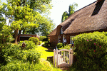 Thatched-Roof Cottage Download Jigsaw Puzzle