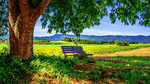 Bench Download Jigsaw Puzzle