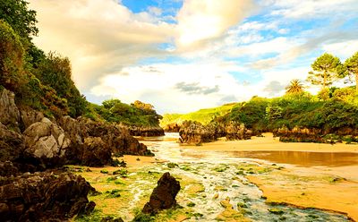 Riverbed Download Jigsaw Puzzle