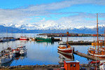 Boats Download Jigsaw Puzzle