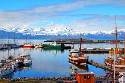 Boats Download Jigsaw Puzzle