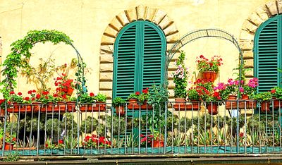 Flowers Download Jigsaw Puzzle