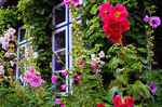 Download Jigsaw Puzzle