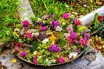 Flowers Download Jigsaw Puzzle