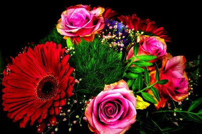 Flowers Download Jigsaw Puzzle