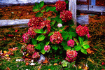 Download Jigsaw Puzzle