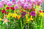 Download Jigsaw Puzzle