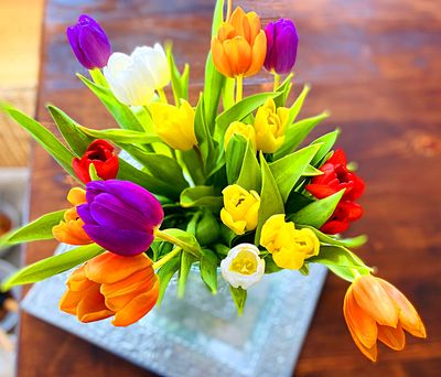 Flowers Download Jigsaw Puzzle