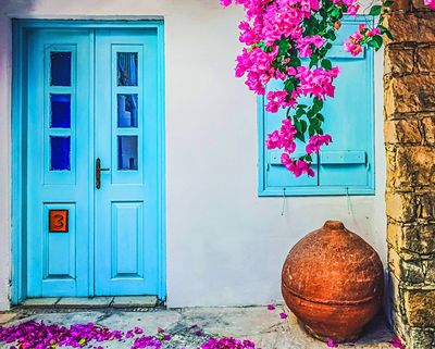 Flowers Download Jigsaw Puzzle