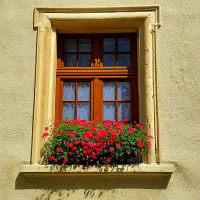 Flowers Download Jigsaw Puzzle