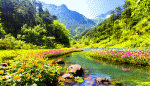 Download Jigsaw Puzzle