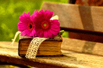 Flowers Download Jigsaw Puzzle