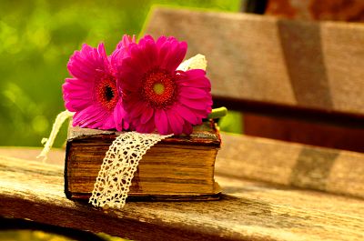 Flowers Download Jigsaw Puzzle