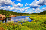Wilderness Lake Download Jigsaw Puzzle